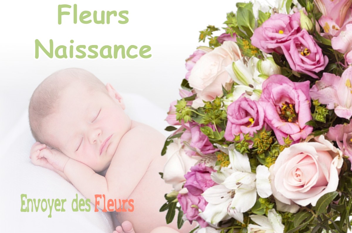 lIVRAISON FLEURS NAISSANCE à LOISEY-CULEY